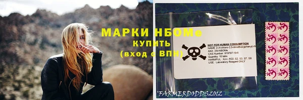 шишки Дмитровск
