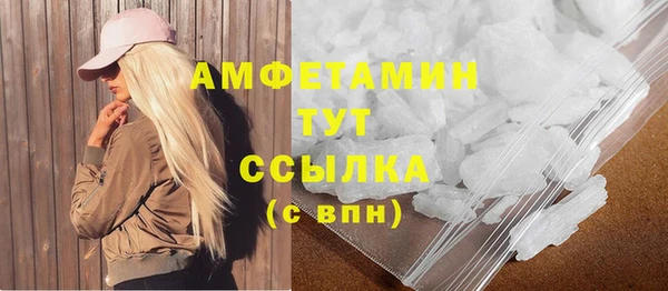 шишки Дмитровск