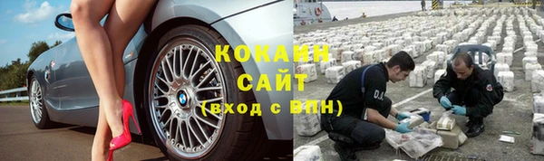 сатива Лихославль