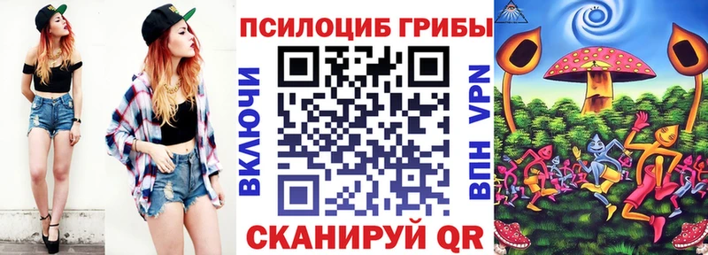 Псилоцибиновые грибы прущие грибы  Заполярный 